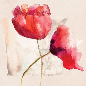 Retro Poppy Watercolor