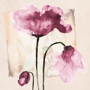 Violet Watercolor Poppies