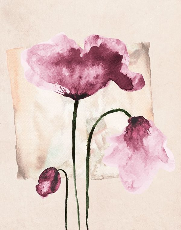 Violet Watercolor Poppies