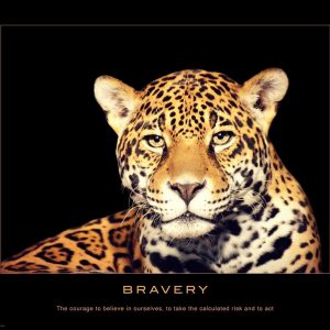 Bravery