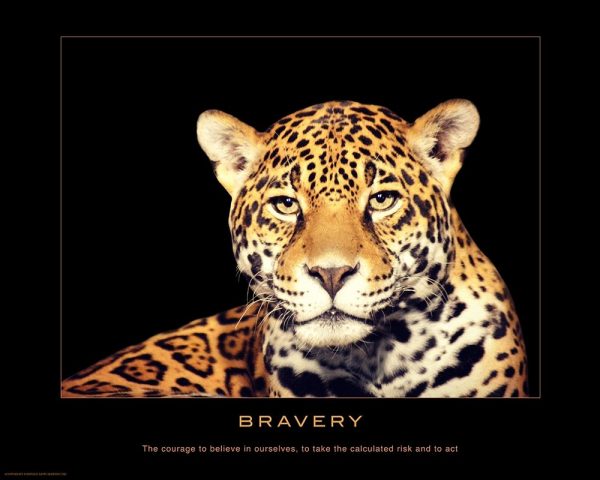 Bravery