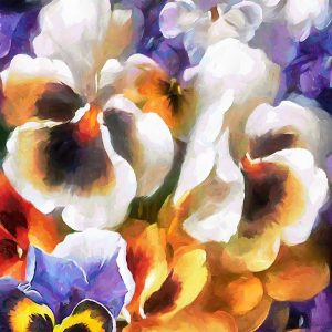 White Pansies