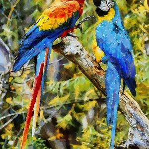 Two Fighting Parrots