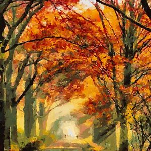 Autumn Road