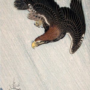 Eagle Flying in Snow