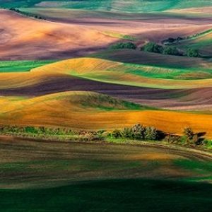 The Palouse